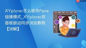 XYplorer怎么使用Pane链接模式_XYplorer双面板联动同步浏览教程【详解】