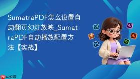 SumatraPDF怎么设置自动翻页幻灯放映_SumatraPDF自动播放配置方法【实战】