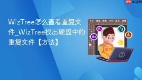 wiztree怎么查看重复文件_wiztree找出硬盘中的重复文件【方法】