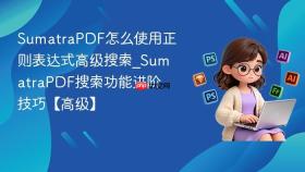 SumatraPDF怎么使用正则表达式高级搜索_SumatraPDF搜索功能进阶技巧【高级】