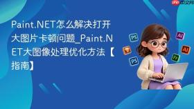 Paint.NET怎么解决打开大图片卡顿问题_Paint.NET大图像处理优化方法【指南】