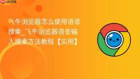飞牛浏览器怎么使用语音搜索_飞牛浏览器语音输入搜索方法教程【实用】