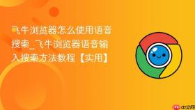 飞牛浏览器怎么使用语音搜索_飞牛浏览器语音输入搜索方法教程【实用】