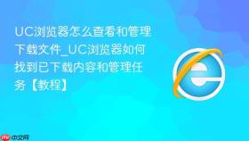 uc浏览器怎么查看和管理下载文件_uc浏览器如何找到已下载内容和管理任务【教程】