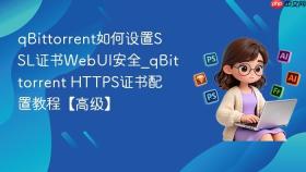 qbittorrent如何设置ssl证书webui安全_qbittorrent https证书配置教程【高级】