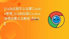 Via浏览器怎么设置Cookie管理_Via浏览器Cookie清理设置方法教程【安全】