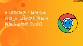 Via浏览器怎么备份还原设置_Via浏览器配置备份恢复方法教程【实用】