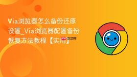 via浏览器怎么备份还原设置_via浏览器配置备份恢复方法教程【实用】