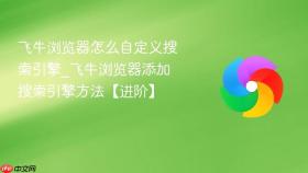 飞牛浏览器怎么自定义搜索引擎_飞牛浏览器添加搜索引擎方法【进阶】
