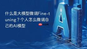 什么是大模型微调fine-tuning？个人怎么微调自己的ai模型