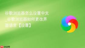 谷歌浏览器怎么设置中文_谷歌浏览器如何更改界面语言【设置】