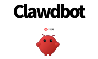 clawbot支持rust开发吗？所有权系统相关代码生成效果