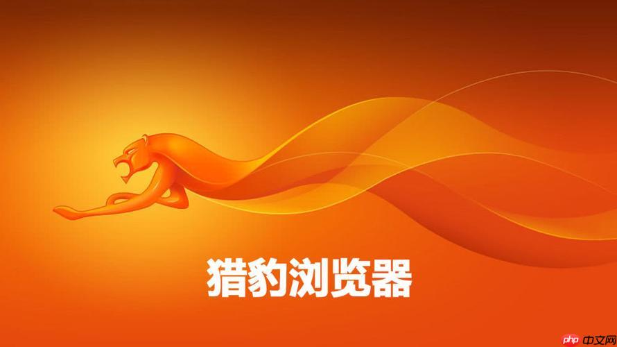 猎豹浏览器怎么安装扩展插件_猎豹浏览器chrome插件安装方法【进阶】