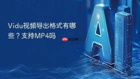 vidu视频导出格式有哪些?支持mp4吗