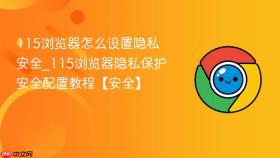 115浏览器怎么设置隐私安全_115浏览器隐私保护安全配置教程【安全】