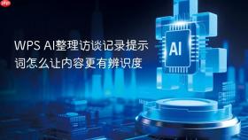 WPS AI整理访谈记录提示词怎么让内容更有辨识度