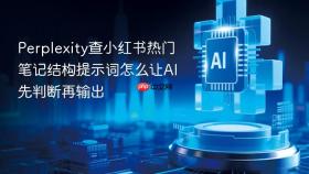 Perplexity查小红书热门笔记结构提示词怎么让AI先判断再输出