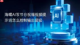 海螺ai写节日祝福视频提示词怎么控制输出层级