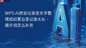 WPS AI把会议录音文字整理成纪要总是记录太长，提示词怎么补充
