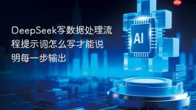 deepseek写数据处理流程提示词怎么写才能说明每一步输出