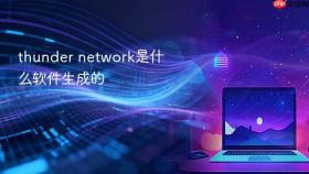 thunder network是什么软件生成的