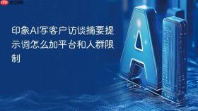 印象AI写客户访谈摘要提示词怎么加平台和人群限制