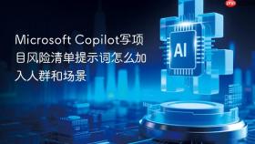 Microsoft Copilot写项目风险清单提示词怎么加入人群和场景