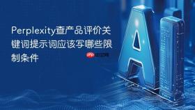Perplexity查产品评价关键词提示词应该写哪些限制条件