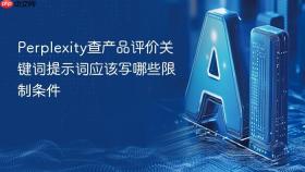 perplexity查产品评价关键词提示词应该写哪些限制条件