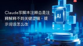 claude写脚本注释总是注释解释不到关键逻辑，提示词该怎么改