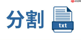 文本分割器网页版官方入口