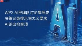 wps ai把团队讨论整理成决策记录提示词怎么要求ai给出检查项