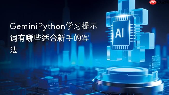 geminipython学习提示词有哪些适合新手的写法