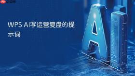 WPS AI写运营复盘的提示词