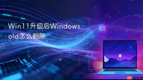 Win11升级后Windows.old怎么删除