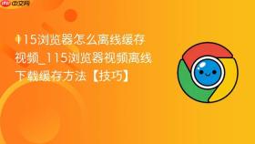 115浏览器怎么离线缓存视频_115浏览器视频离线下载缓存方法【技巧】