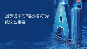 提示词中的\