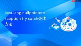 java.lang.nullpointerexception try catch处理方法