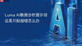 luma ai数据分析提示词总是只贴报错怎么办