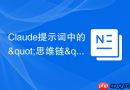 Claude提示词中的