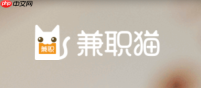 兼职猫官方网页版官网直达入口地址
