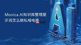 monica ai知识库整理提示词怎么做私域电商