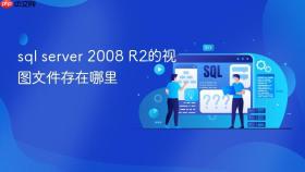 sql server 2008 r2的视图文件存在哪里