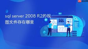 sql server 2008 R2的视图文件存在哪里