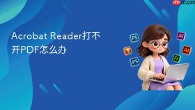 Acrobat Reader打不开PDF怎么办