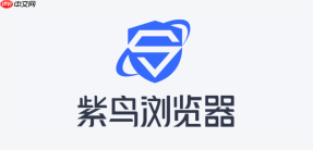 紫鸟浏览器PC网页端登录地址 紫鸟浏览器官方网站网页登录通道