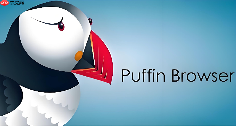 puffin浏览器网页入口 puffin浏览器官方网站地址