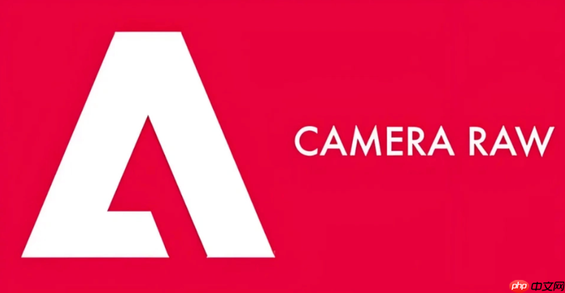 adobe camera raw缓存文件管理方法