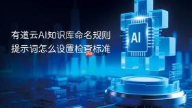 有道云ai知识库命名规则提示词怎么设置检查标准