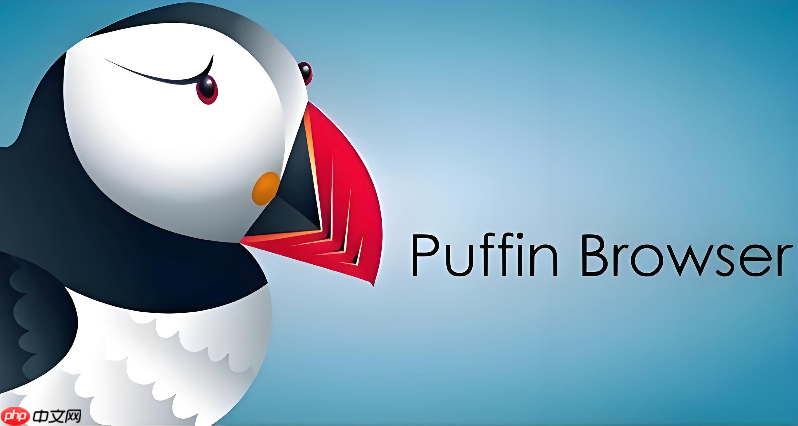 puffin浏览器在线入口 puffin浏览器在线访问入口